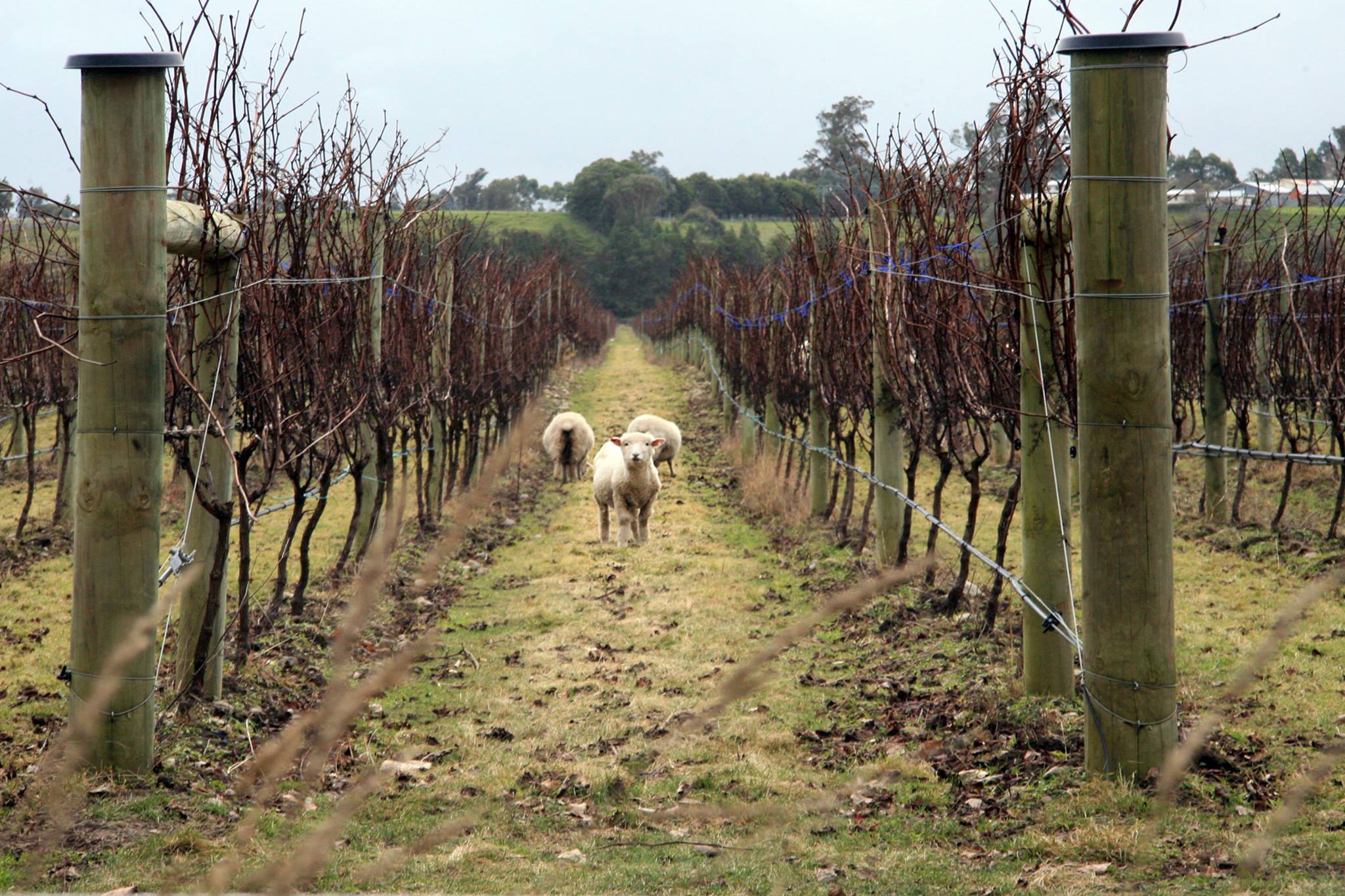 The Best Season for Different Types of Visitors