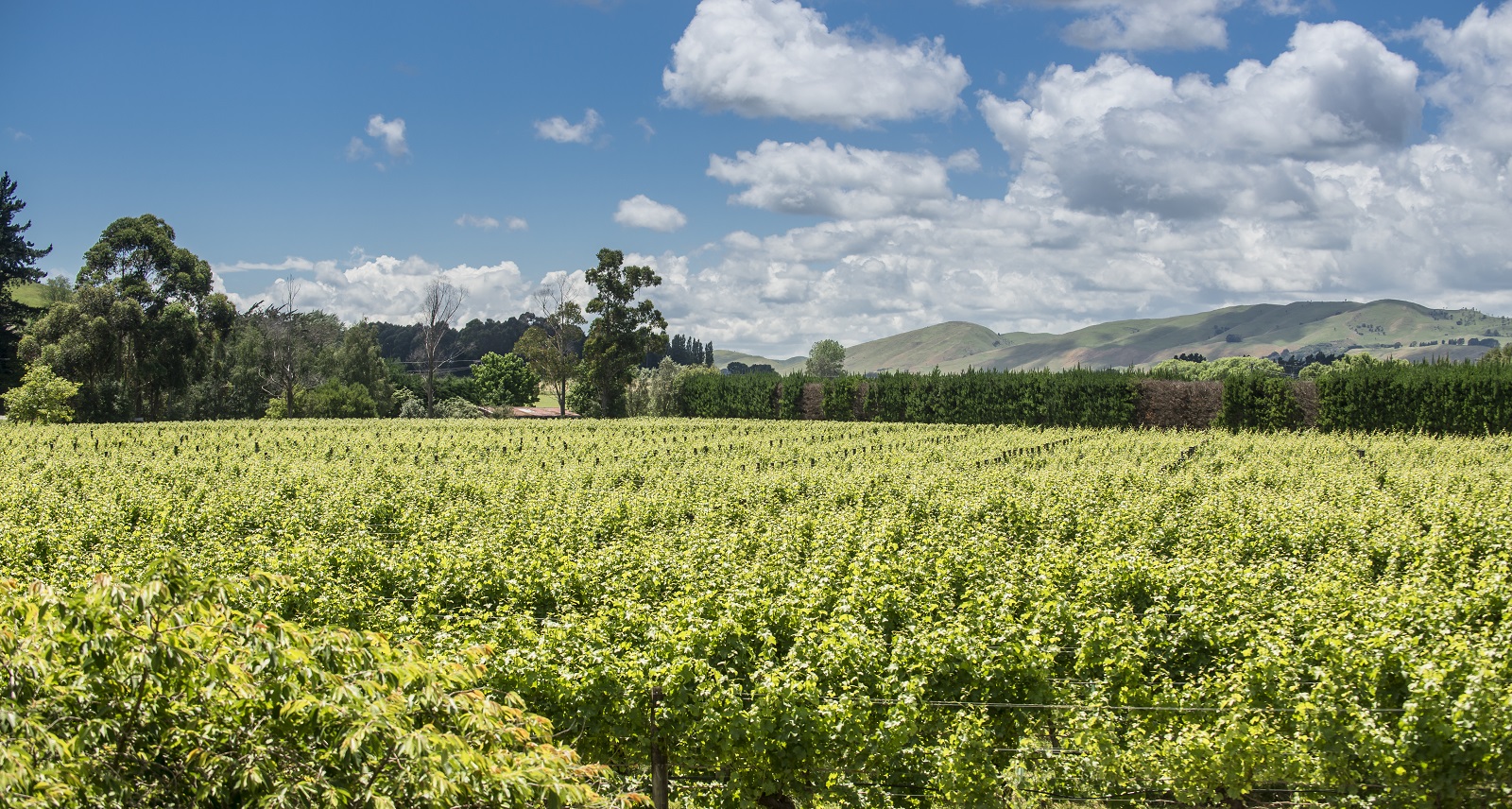 When to Book Ahead and When a Spontaneous Trip Can Still Work