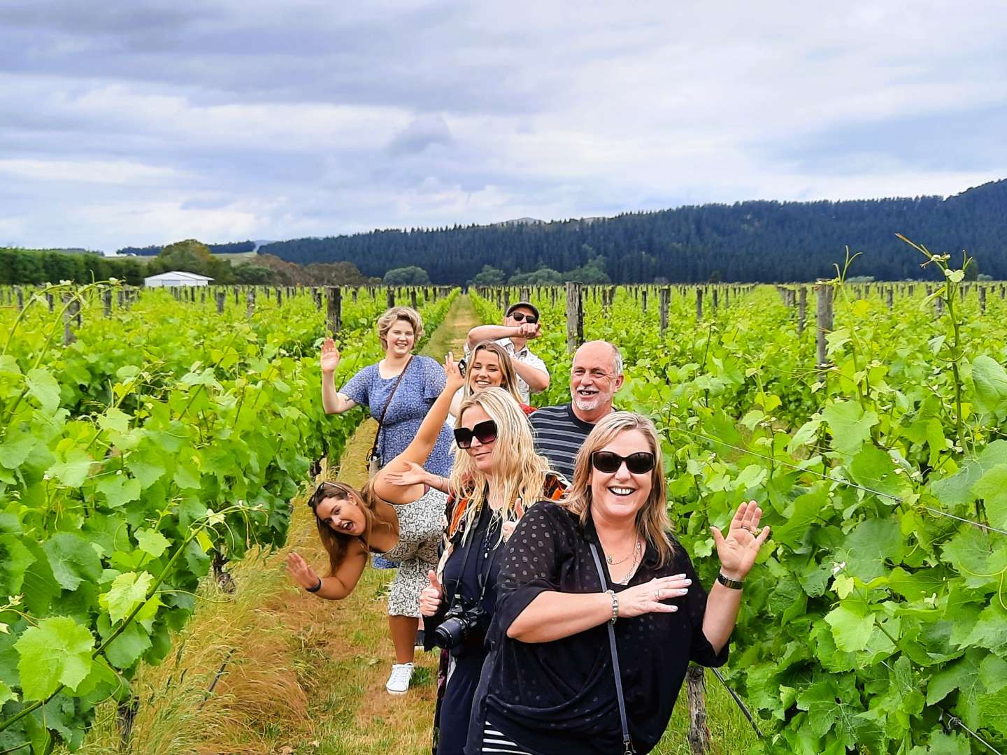 Why a Weekend Is the Best Way to Understand Wairarapa Wine