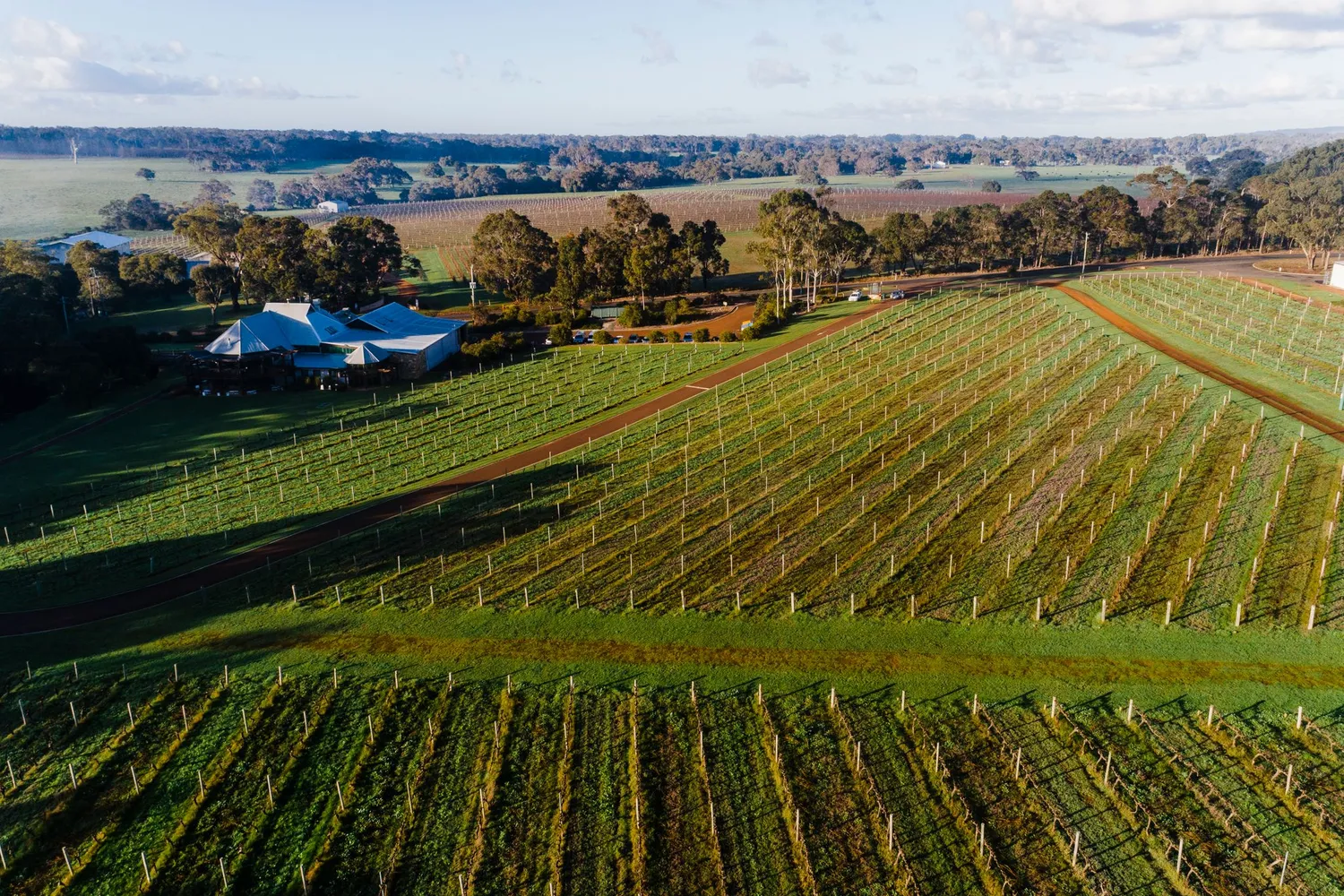 Why Gladstone Is Worth Building Into Your Next Wairarapa Trip